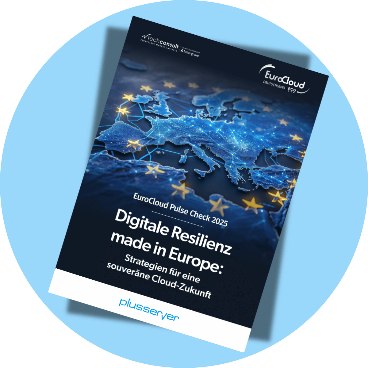 Pulse Check 2025 - Mock-Up